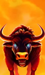 Big Wild Buffalo 2